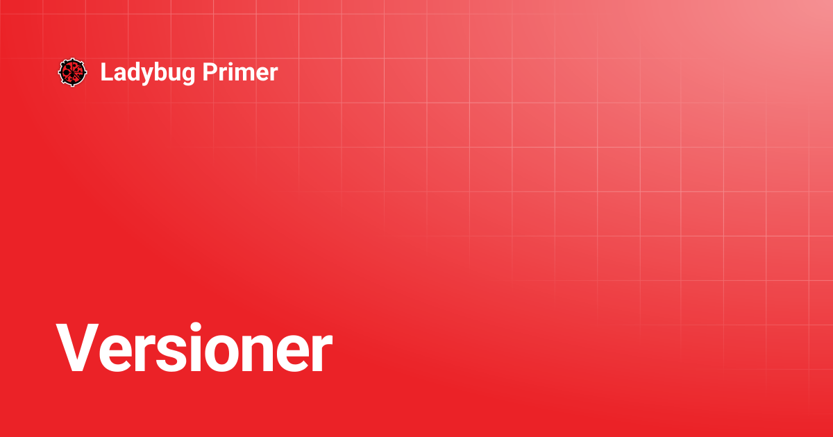 Versioner | Ladybug Primer